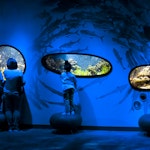 0737 Discovery Place Science aquarium