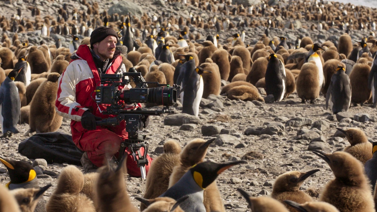 Antarctica BTS Cameraman Rolf Steinmann