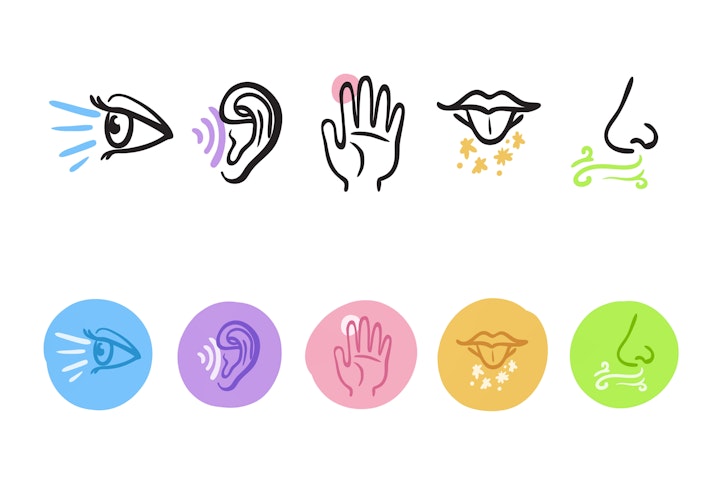 Five senses illustration
