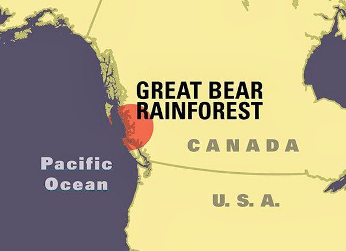 Great Bear Rainforest Map Image