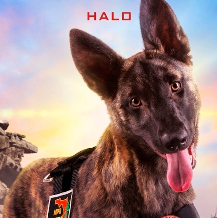 Superpower Dogs Halo Square