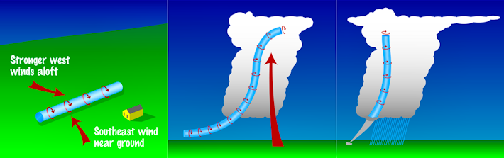 Tornado diagram lrg